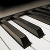 Organ 10 icon